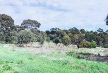 O'Halloran Hill Conservation Park景点图片