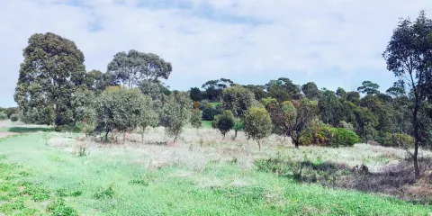 O'Halloran Hill Conservation Park