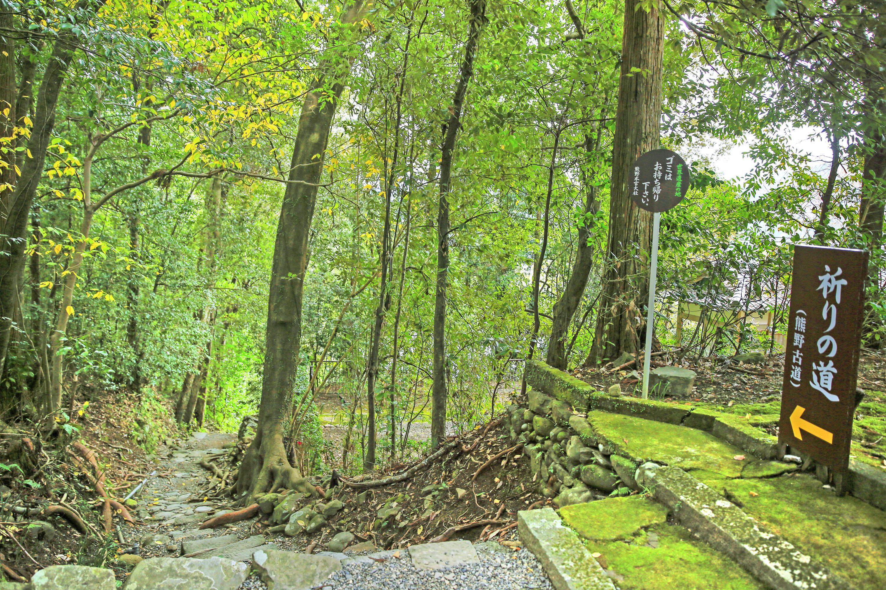 熊野古道景點 City旅遊評論 19年11月21日旅行指南 Trip Com 熊野古道景點 City旅遊評論 19年11月21日旅行指南 Trip Com