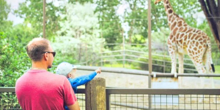 卡爾加里動物園