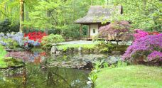 日本花园中心-瓦瑟纳尔-尊敬的会员