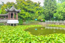 梅园公园-上海-doris圈圈