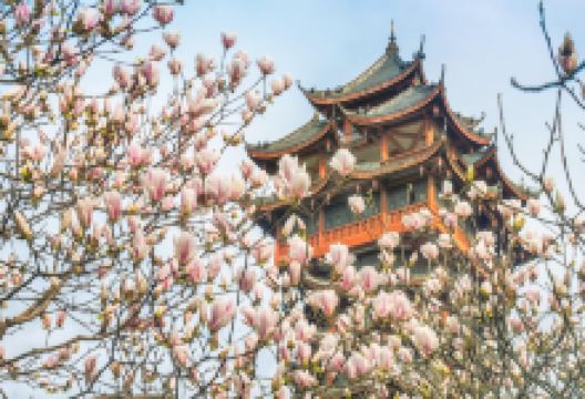 九天楼景点图片