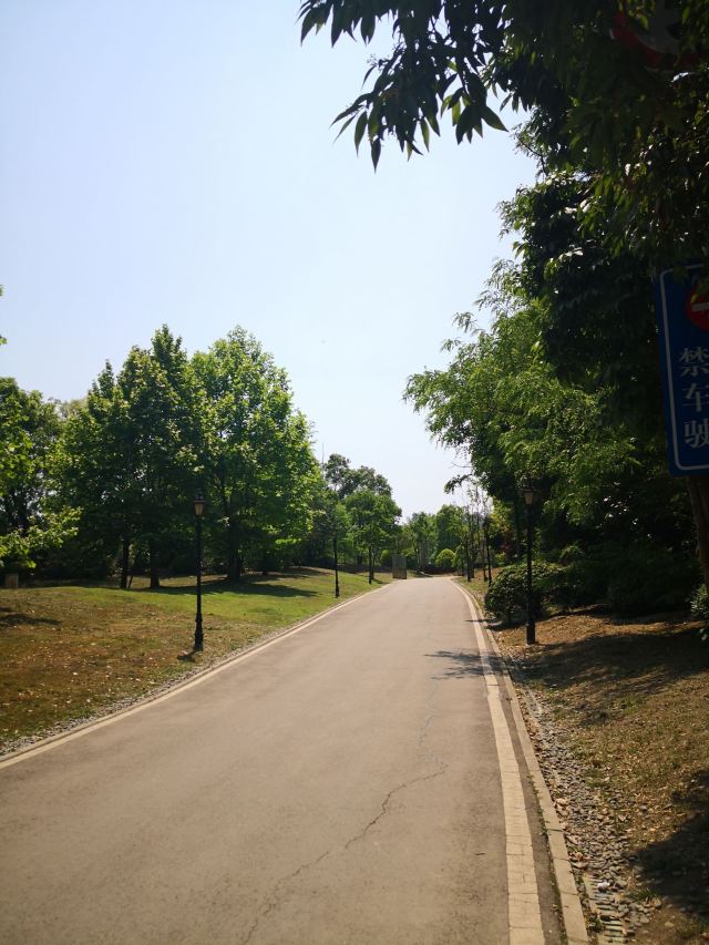 万科五龙山公园旅行图片 6