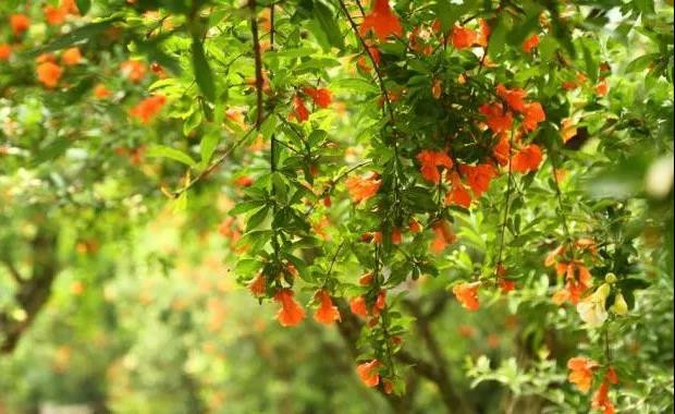 春游江淮请您来丨5月在蚌埠打卡这20件事，才算得上不负春光！