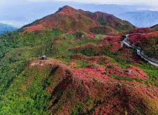 大围山国家森林公园-浏阳-gz伊妹儿