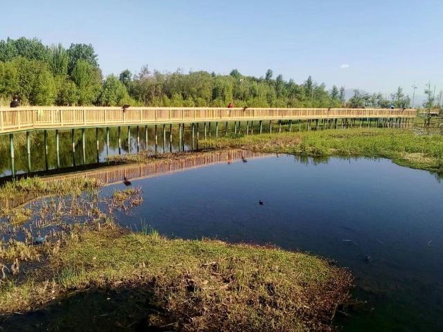 洱海月湿地公园旅行图片 4