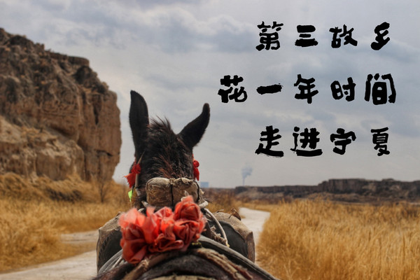第三故乡，宁夏出差旅途日记