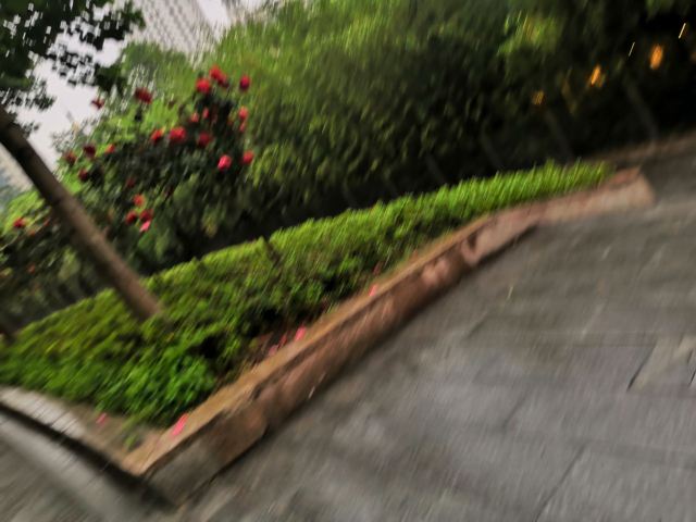 祥和公园旅行图片 2
