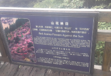 山花映日购物图片