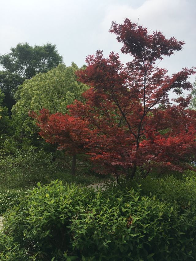 新江湾湿地生态观鸟拍鸟基地旅行图片 9