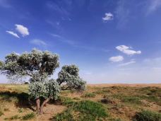 腾格里沙漠-阿拉善左旗-卜一样的旅行