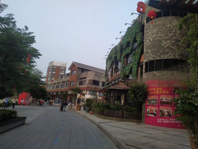 华阳湖国家湿地公园旅行图片 8