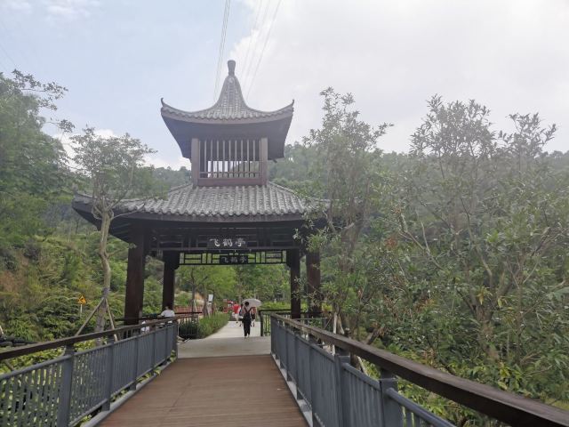 金钟水库旅行图片 9