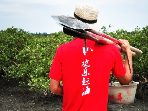 红树林欢乐赶海