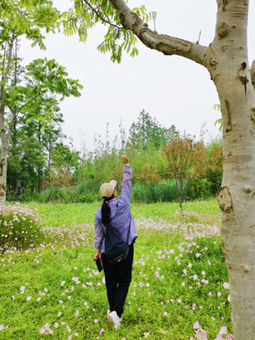 后疫情期的上海一日游