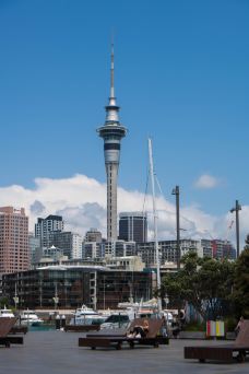 天空塔-奥克兰-漂鸟Wandervoge