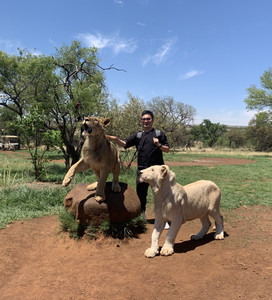 豪登省游记图文-南非约翰内斯堡之行(三) 与非洲狮的亲密接触