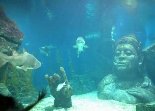Sea Life Bangkok Ocean World