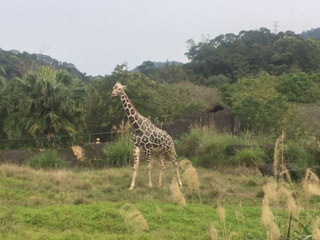 Taipei Zoo