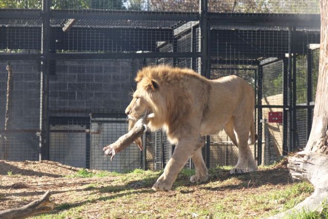 Melbourne Zoo