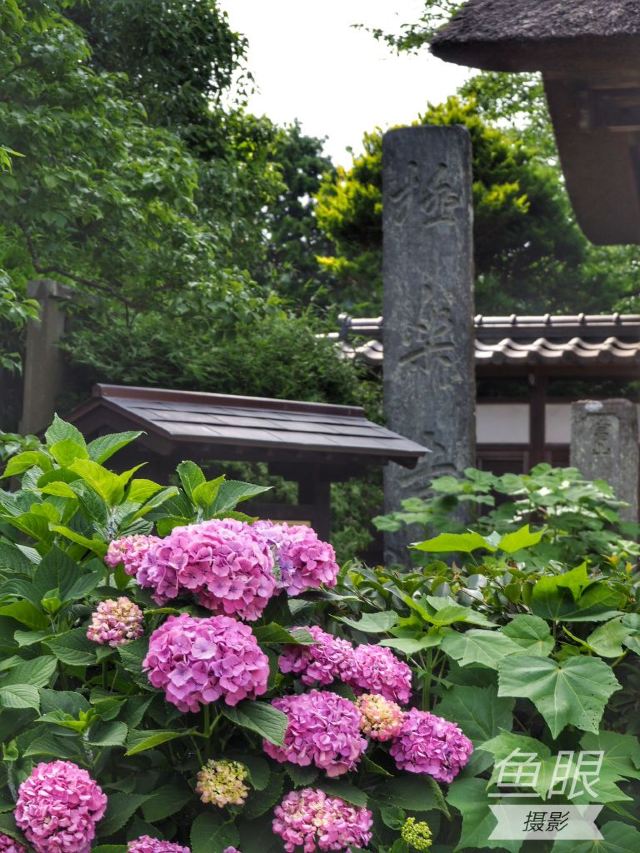 Gokuraku-ji Temple