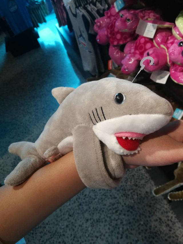 Cairns Aquarium