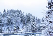 Col de la Faucille景点图片