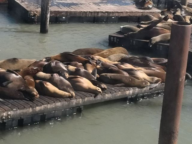 Fisherman's Wharf