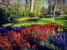 库肯霍夫公园-利瑟-Benben818