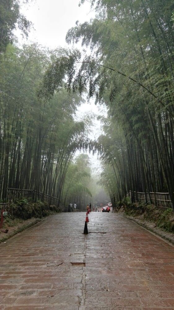 Shunan Zhuhai (“South Sichuan Bamboo Sea”) National Park