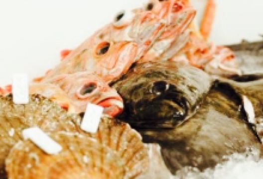 Seafood Bar美食图片