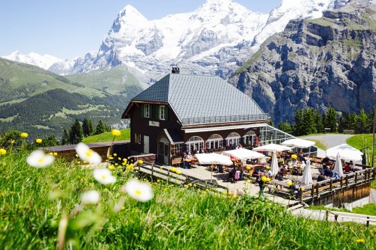 Panorama Restaurant Allmendhubel餐厅图片