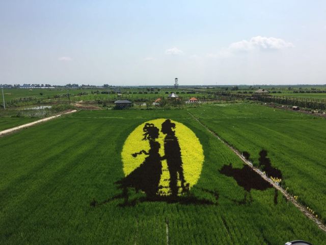 稻夢空間