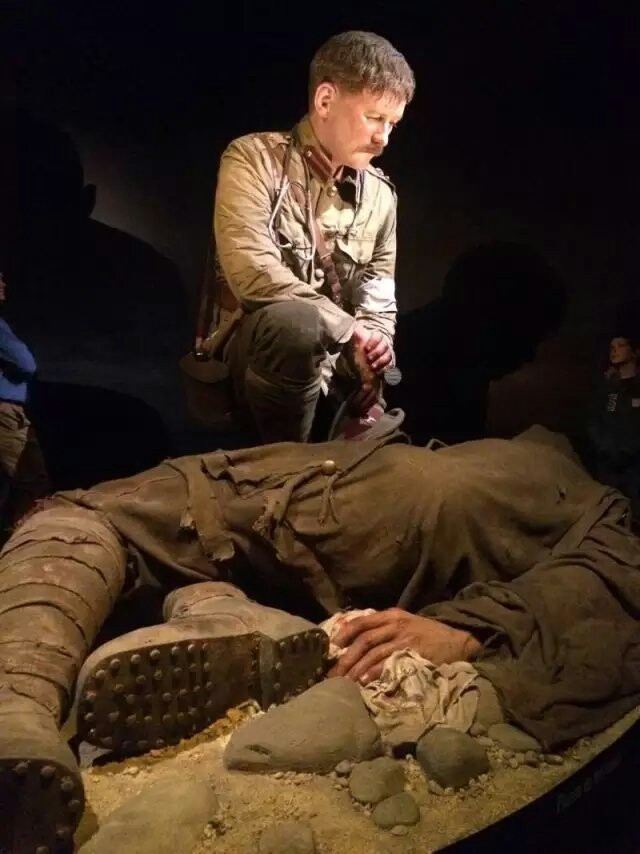 Museum of New Zealand (Te Papa Tongarewa)