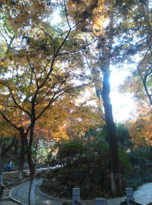 Yushan Park
