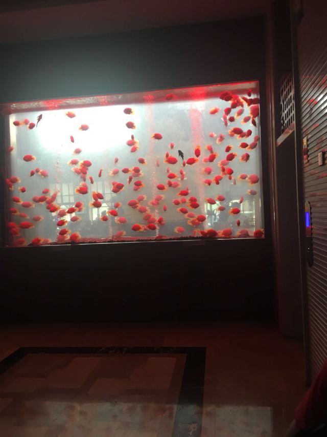 빈시 실내 온천 풍경명승구