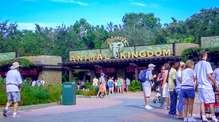 7-Day Orlando and Miami Tour from Orlando·Orlando Theme Parks, Everglades National Park, Key West, Fort Lauderdale and Palm Beach