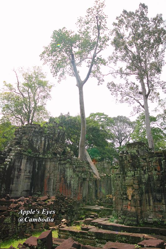 Preah Khan