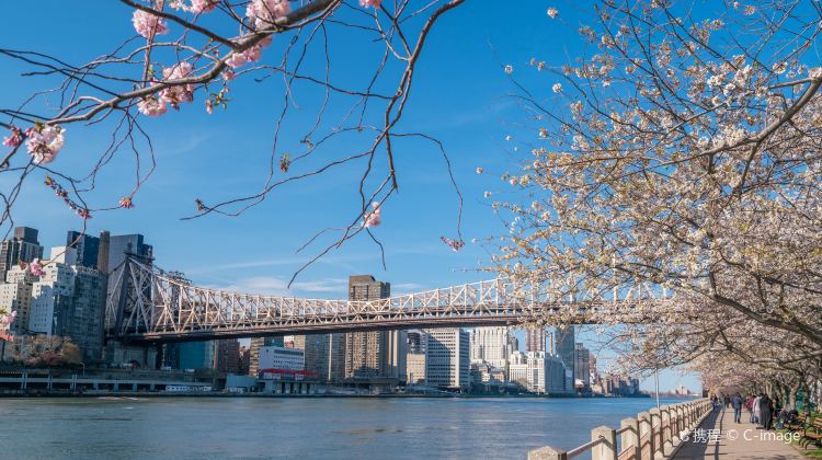 8-Day New York + Canada East Coast Tour·Niagara Falls, Toronto, Quebec, Montreal and Ottawa | JFK/LGA airport pick-up