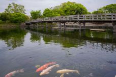 白鸟庭园-名古屋-doris圈圈