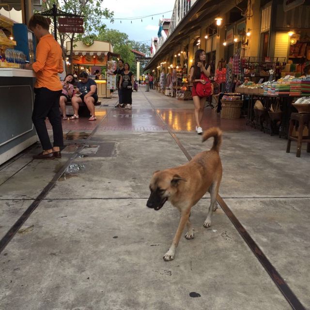 Khao San Road