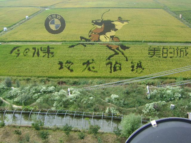 稻夢空間