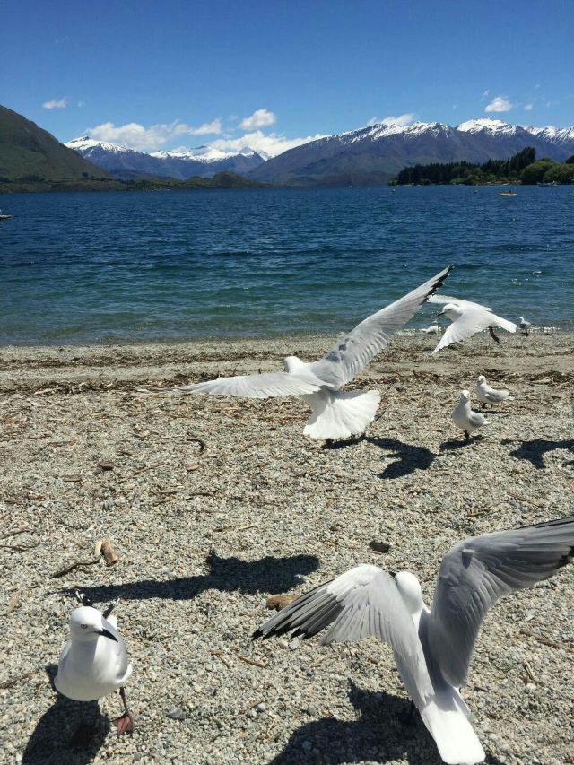 Lake Wanaka