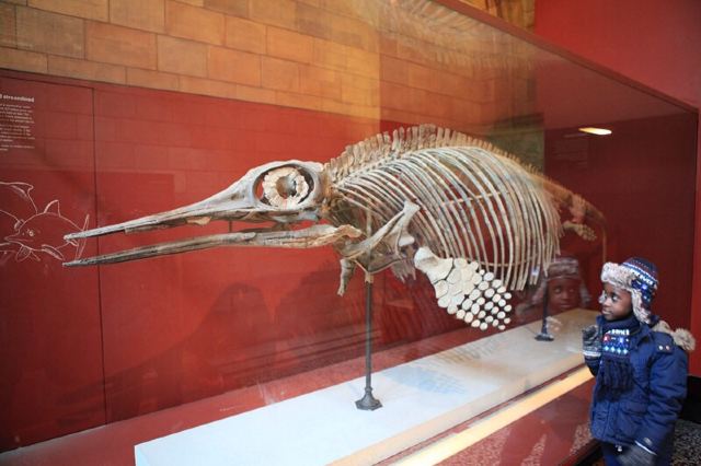 Natural History Museum