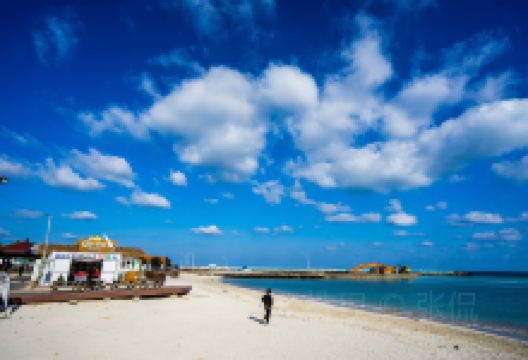 涯月邑旅游图片-万千风貌济州岛，五天一网打尽