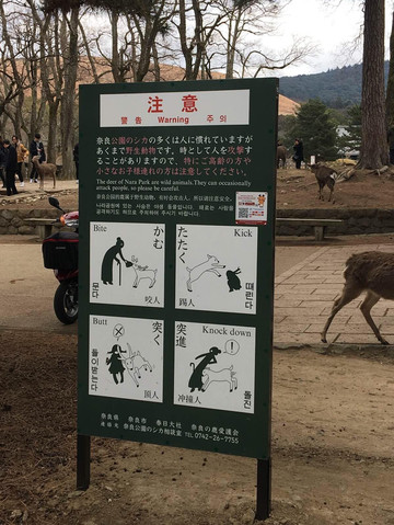 关西漫慢玩 D3 游记攻略 携程攻略