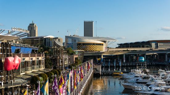IMAX Theatre Sydney