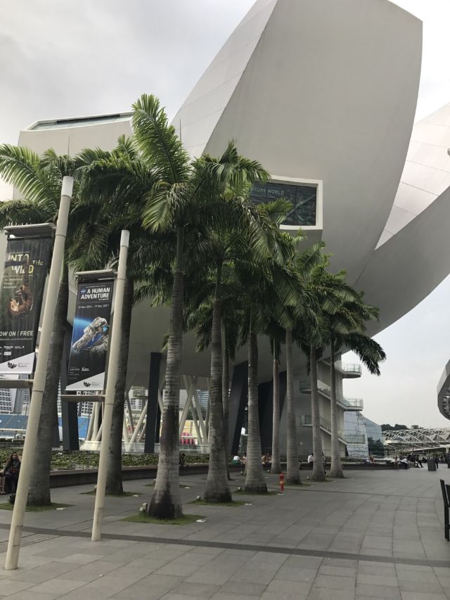 ArtScience Museum