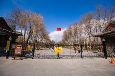 日坛公园-北京-doris圈圈